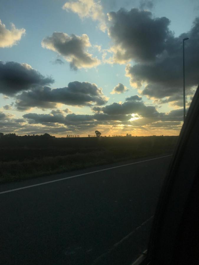 Zee Vakantievilla Begijnhof 5 De Haan Nieuwmunster Dış mekan fotoğraf